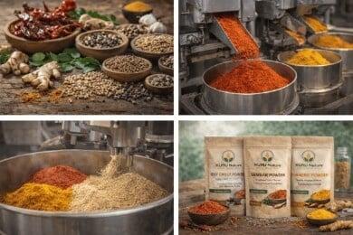 Spices Masala